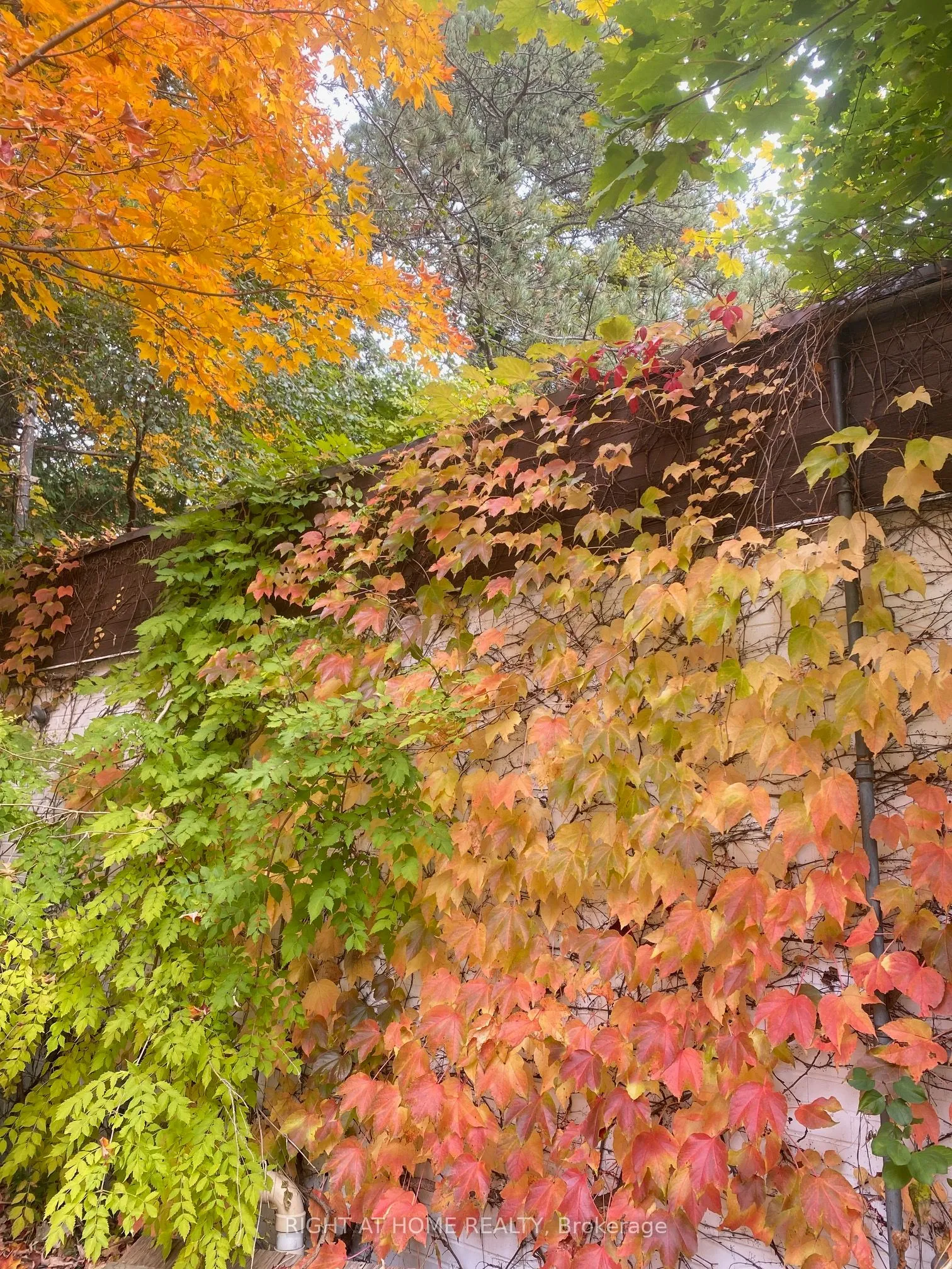 48 The Bridle Path, ON M2L 1C8