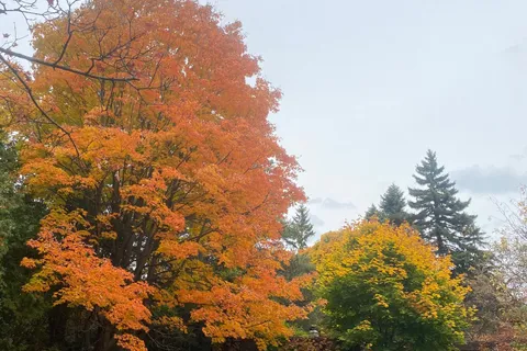 48 The Bridle Path, ON M2L 1C8