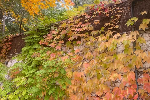 48 The Bridle Path, ON M2L 1C8