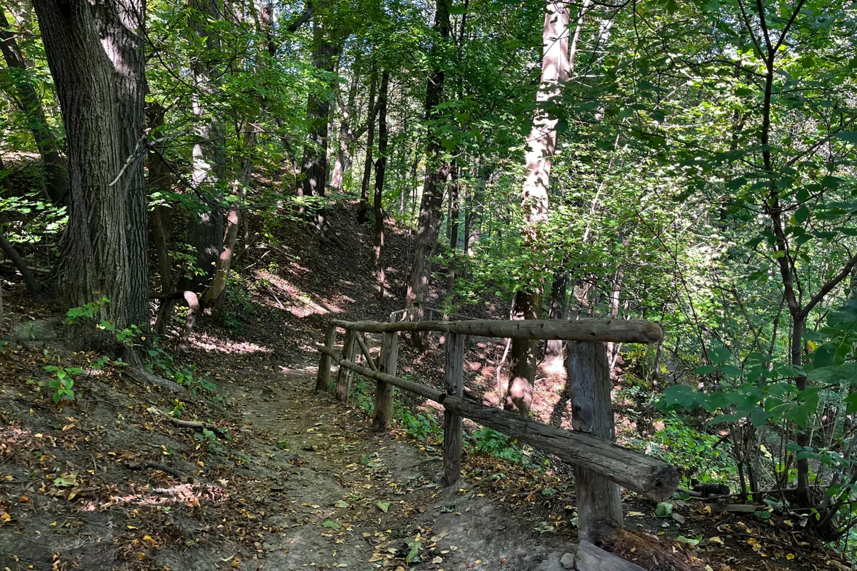 108 Shaftesbury Avenue, ON M4T 1A5