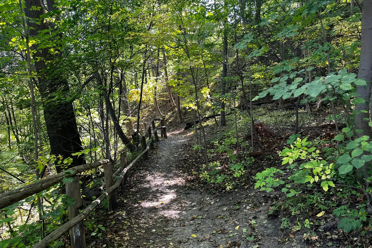 108 Shaftesbury Avenue, ON M4T 1A5