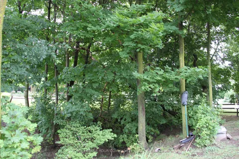 159 Cameron Ave, Toronto, ON M2N 1E5