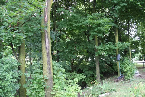 159 Cameron Ave, Toronto, ON M2N 1E5