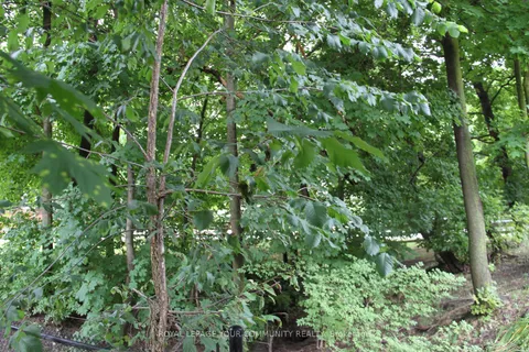 159 Cameron Ave, Toronto, ON M2N 1E5