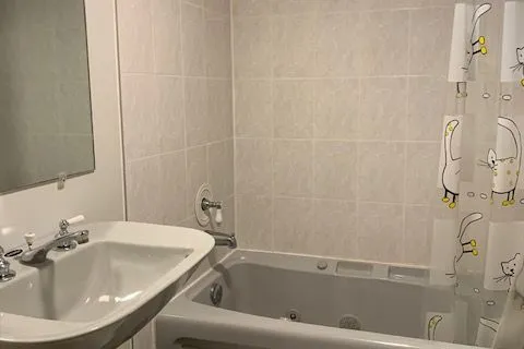 257 PATRICIA Avenue, ON M2M 1J7