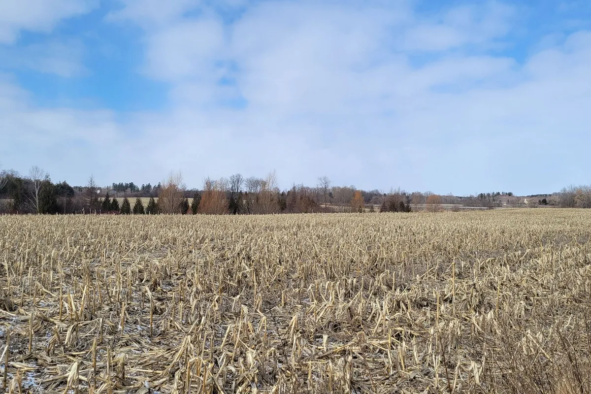 9760 Ashburn Road, Whitby, ON L0B 1A0