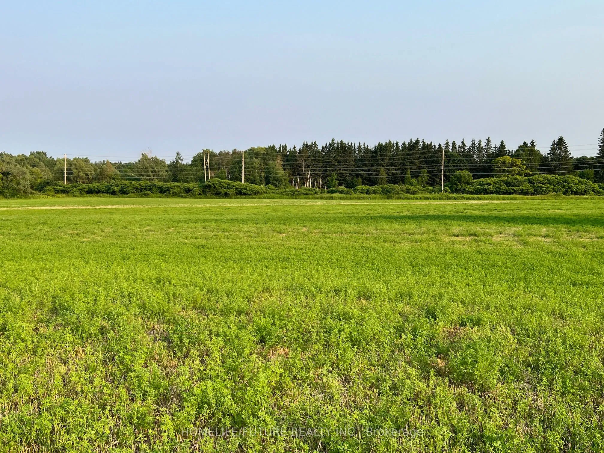 925 Townline Road, ON L1H 8L7