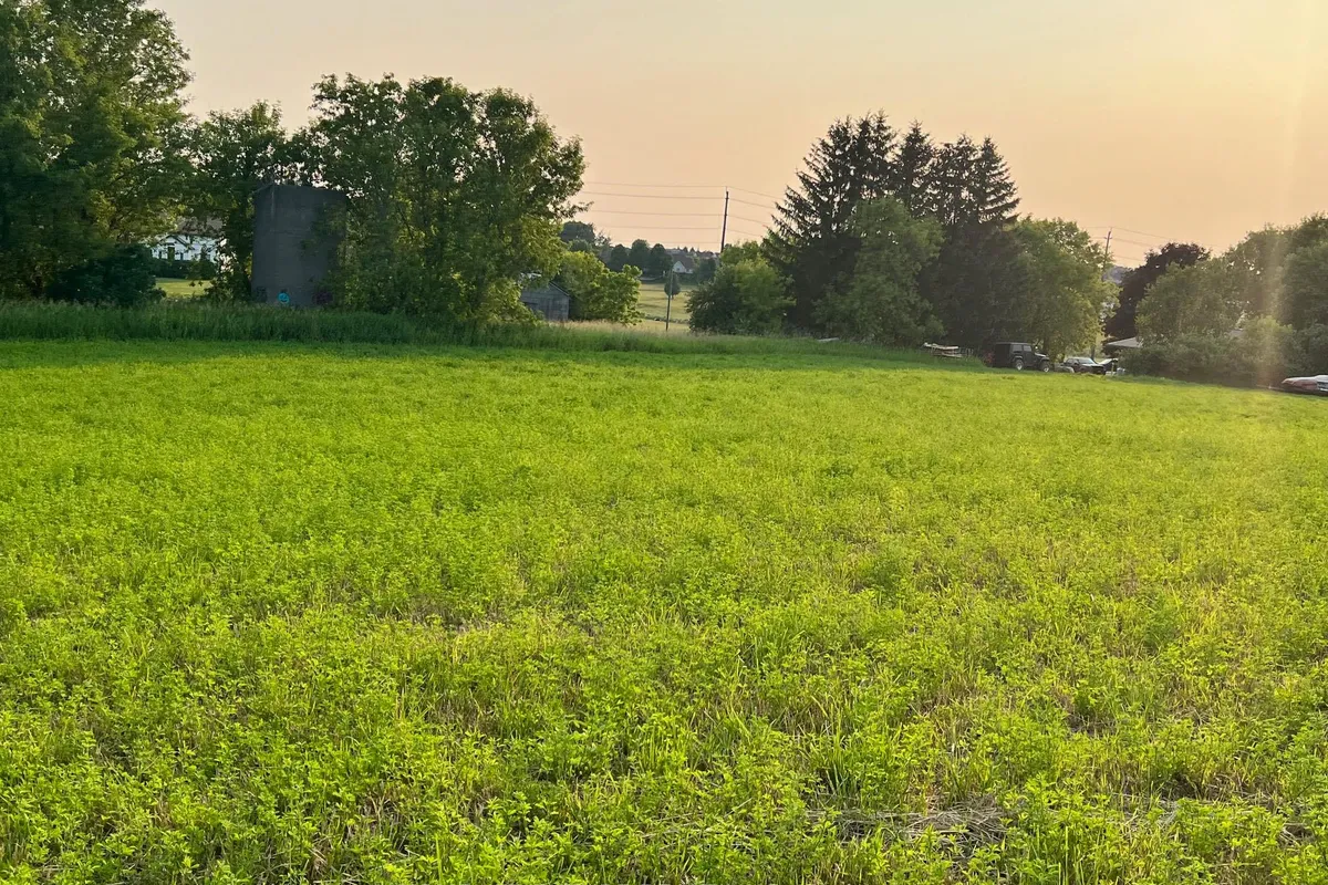 925 Townline Road, ON L1H 8L7