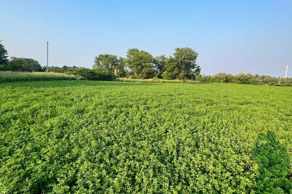 925 Townline Road, ON L1H 8L7