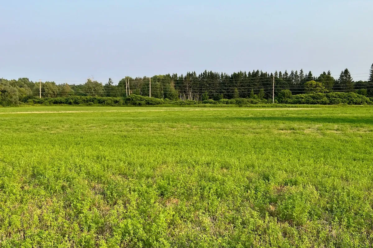 925 Townline Road, ON L1H 8L7