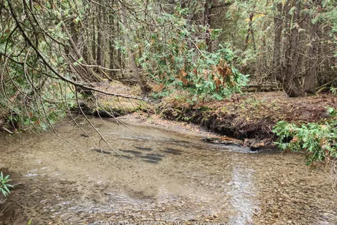 4627 Ganaraska Road, ON L0A 1E0