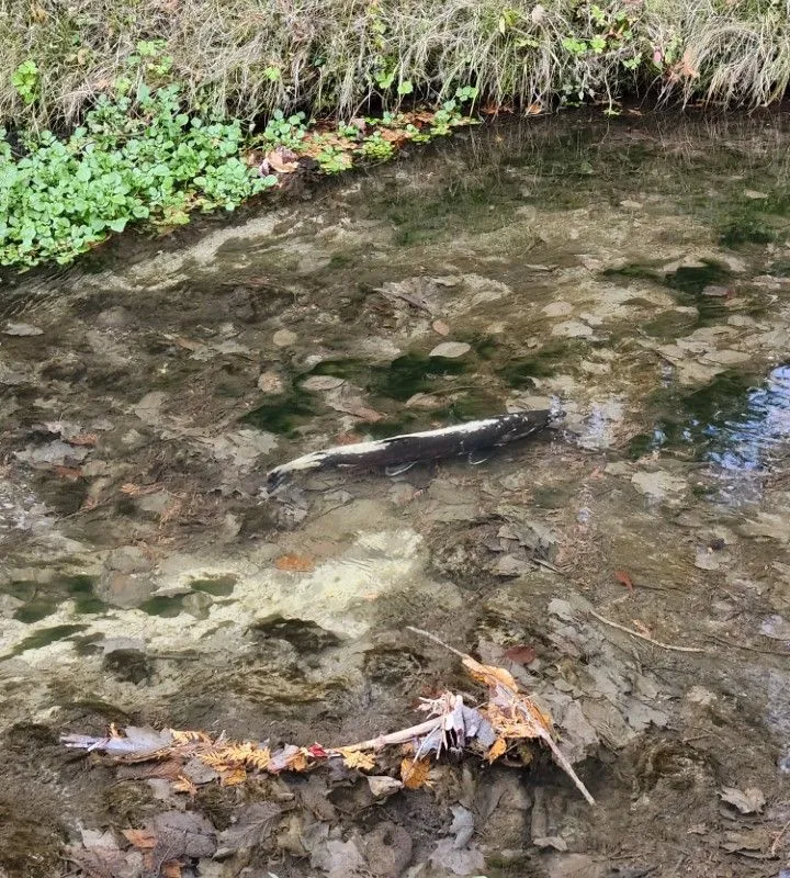 4627 Ganaraska Road, ON L0A 1E0