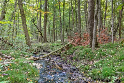 9500 Grasshopper Park Road, ON L1C 3K2