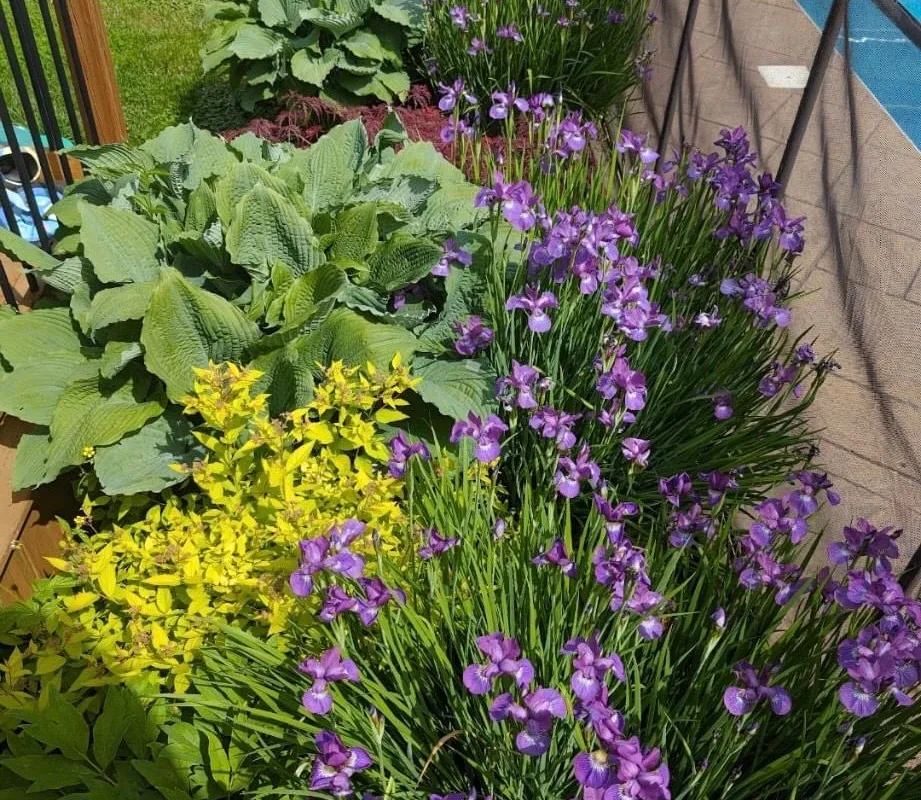 717 Fairview Avenue, ON L1W 1M6