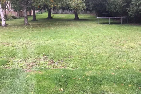 893 Wingarden Crescent, ON L1V 1S5