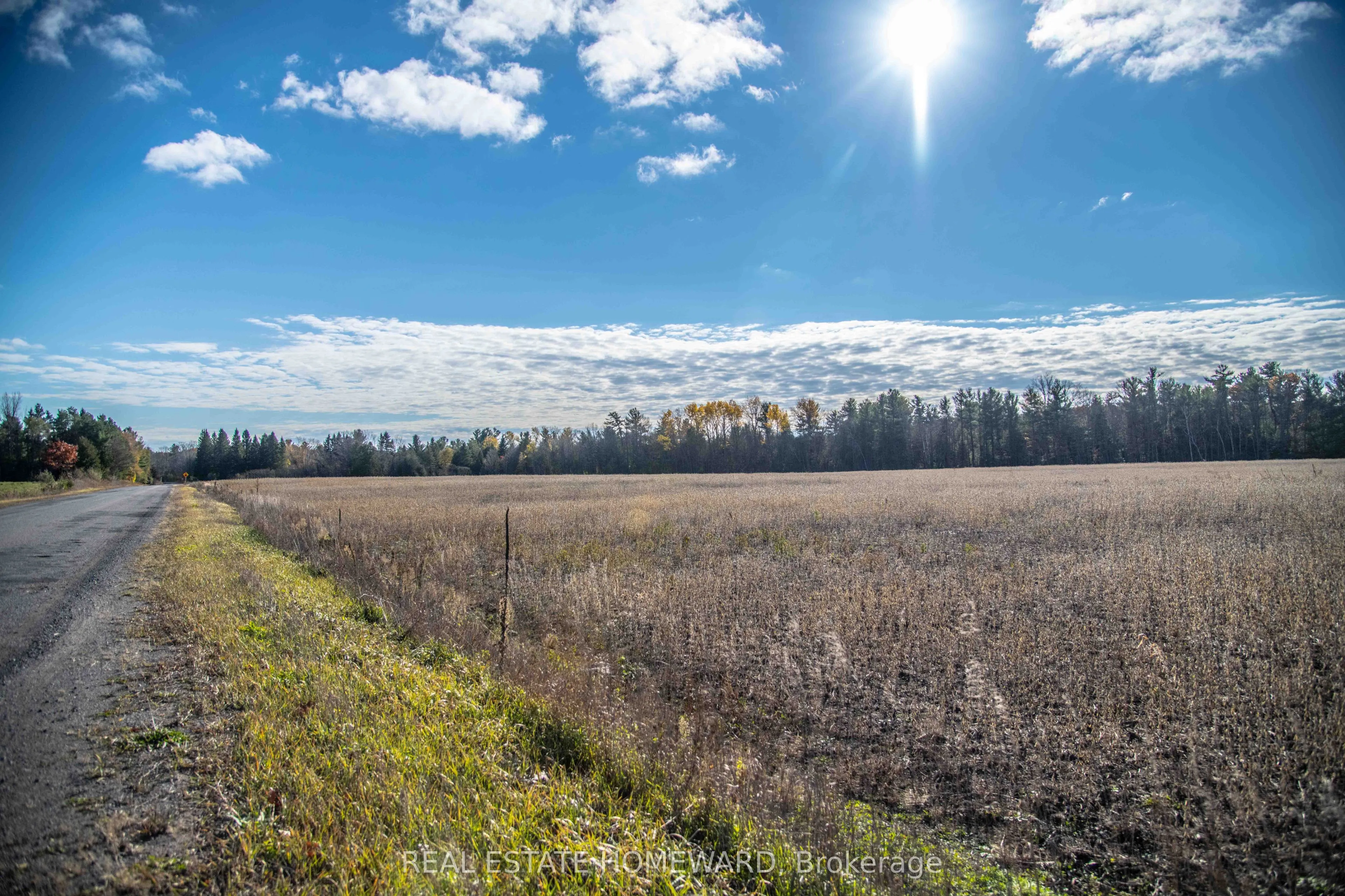 4856 Cold Springs Camp Road, ON L0A 1B0