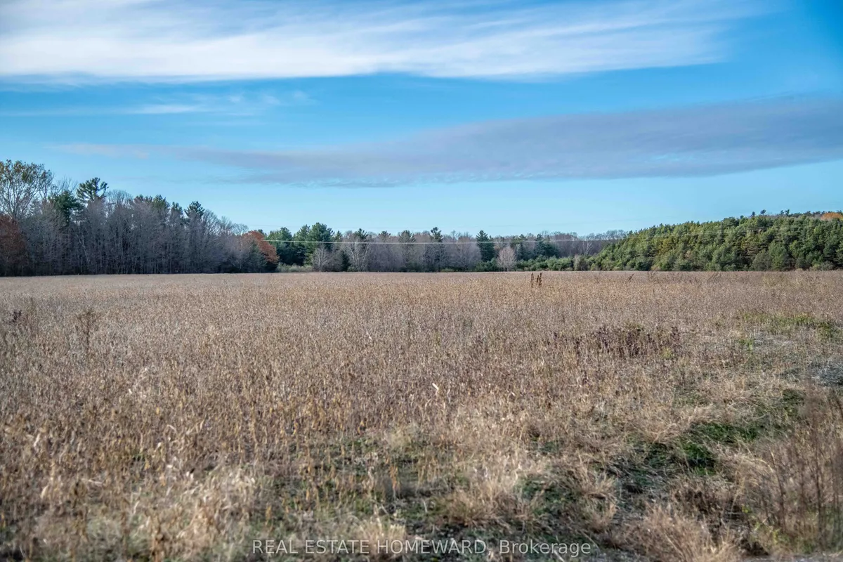 4856 Cold Springs Camp Road, ON L0A 1B0