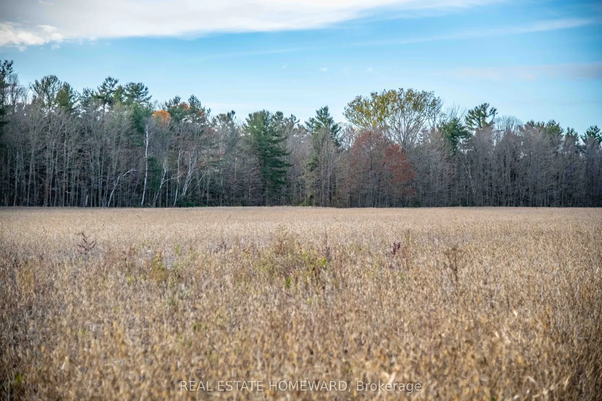 4856 Cold Springs Camp Road, ON L0A 1B0