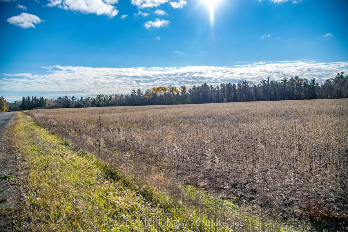 4856 Cold Springs Camp Road, ON L0A 1B0