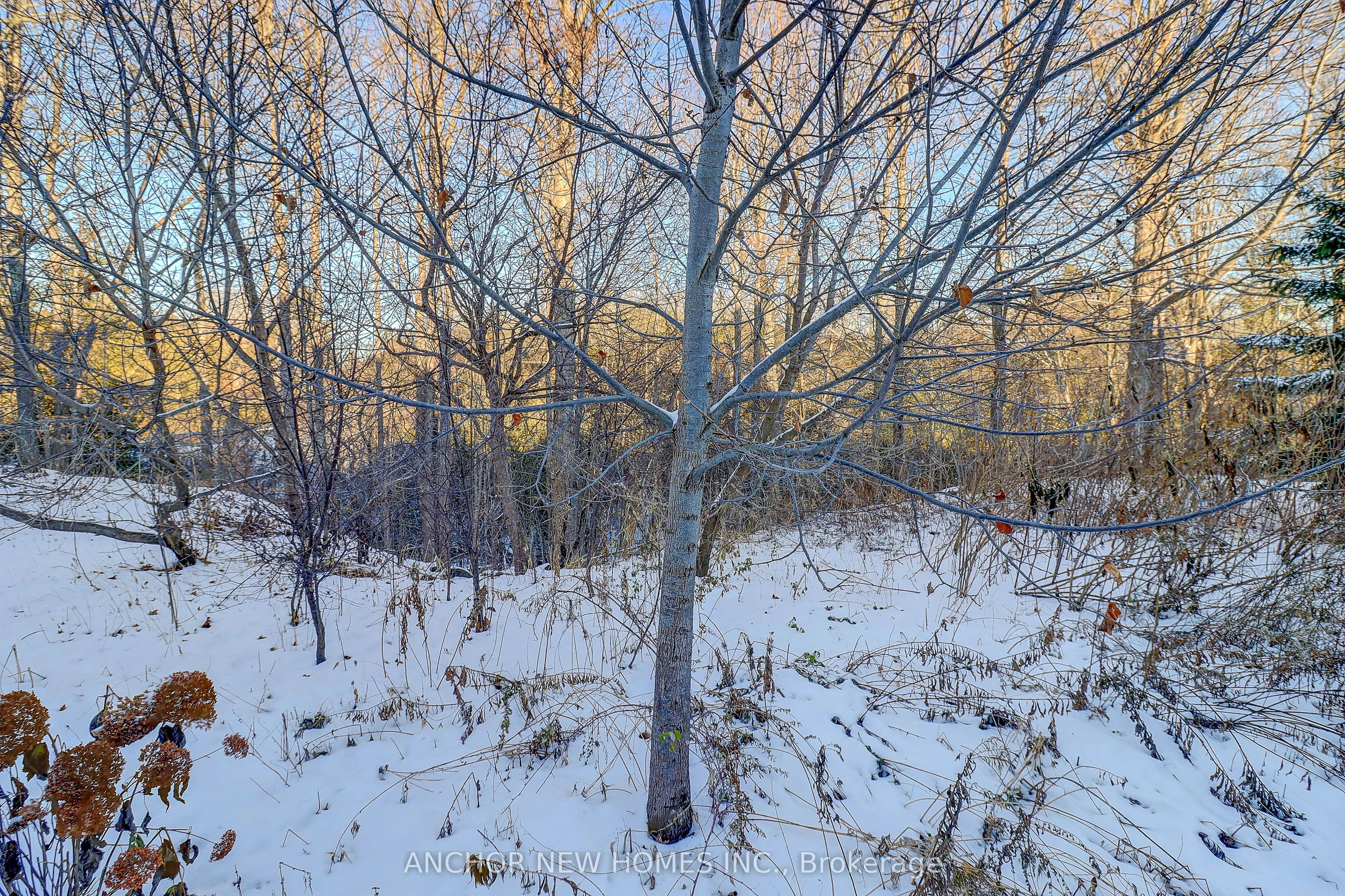 Detached living room at 2481 Earl Grey Avenue Pickering