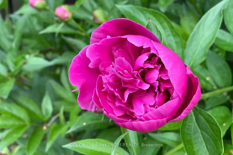 111 Greensboro Drive, Scugog, ON L0B 1B0