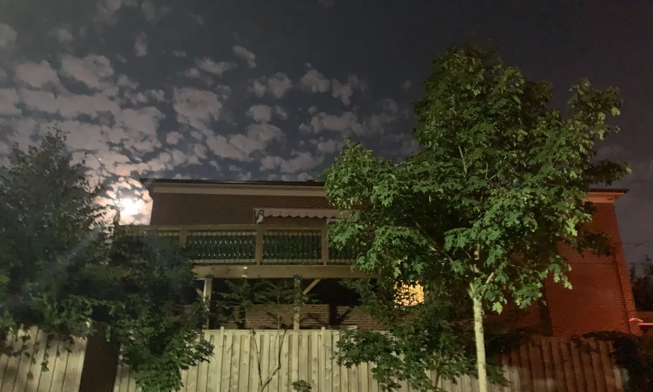 263 Oak Park Ave, Toronto, ON M4C 4N4