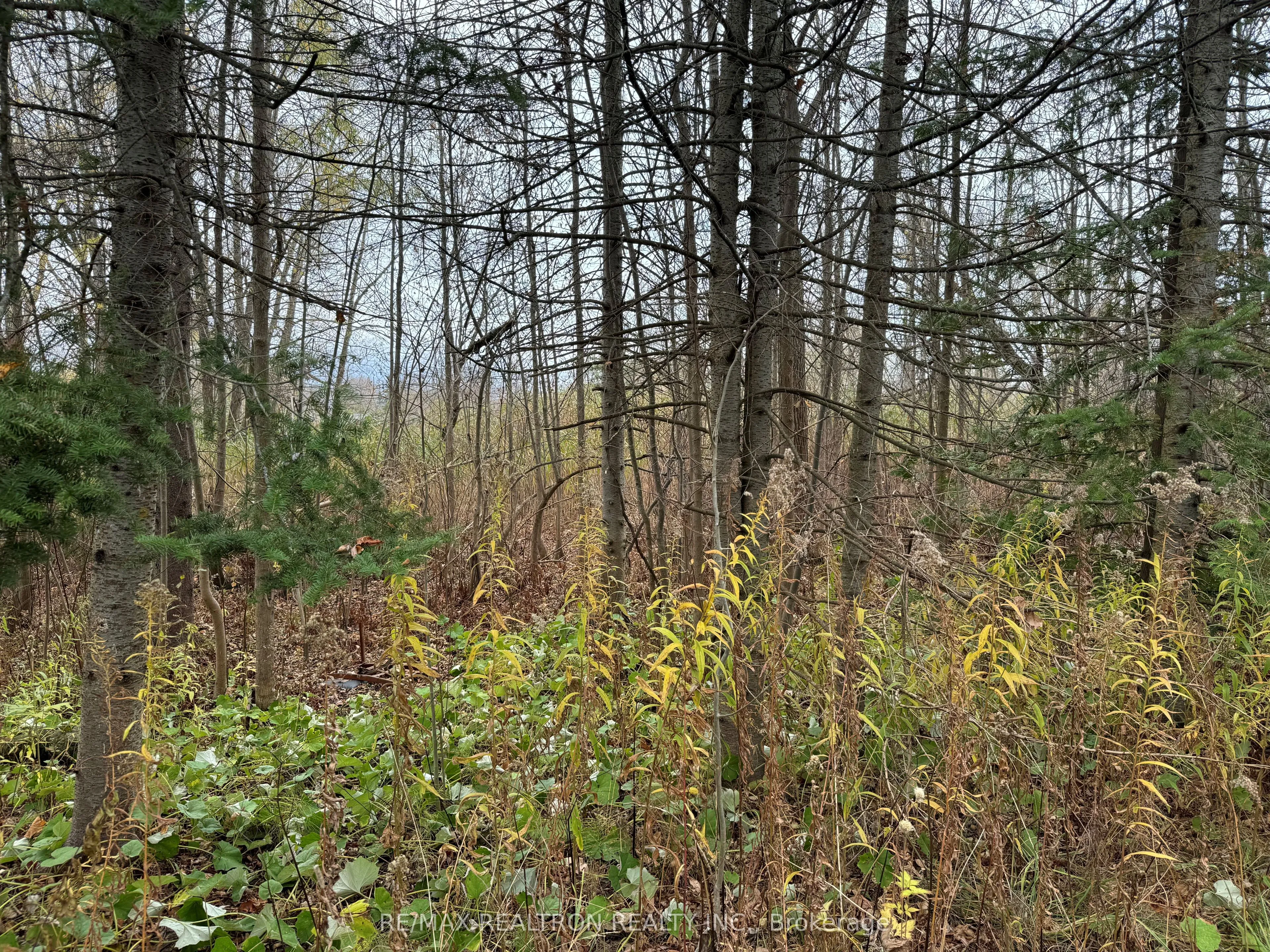 0 Taylorwoods Boulevard, Innisfil, ON L9S 2E9