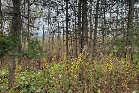 0 Taylorwoods Boulevard, Innisfil, ON L9S 2E9