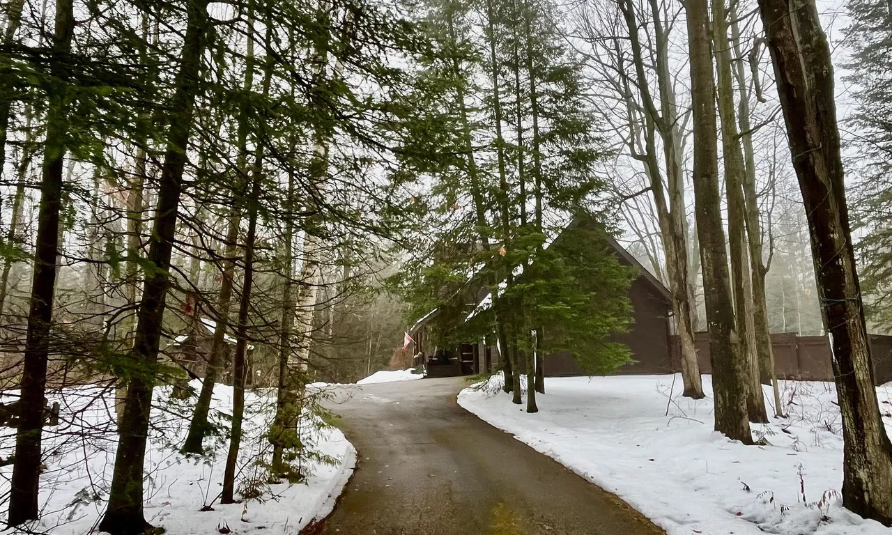 71 Forest Hill Dr, Adjala-Tosorontio, ON L0M 1J0