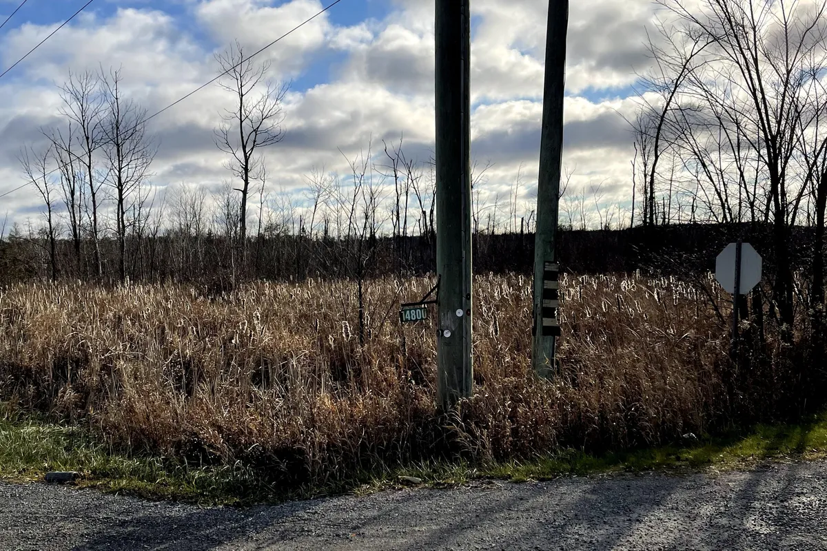 PTLT 35 Concession 2 Side Road, ON L0L 0L0