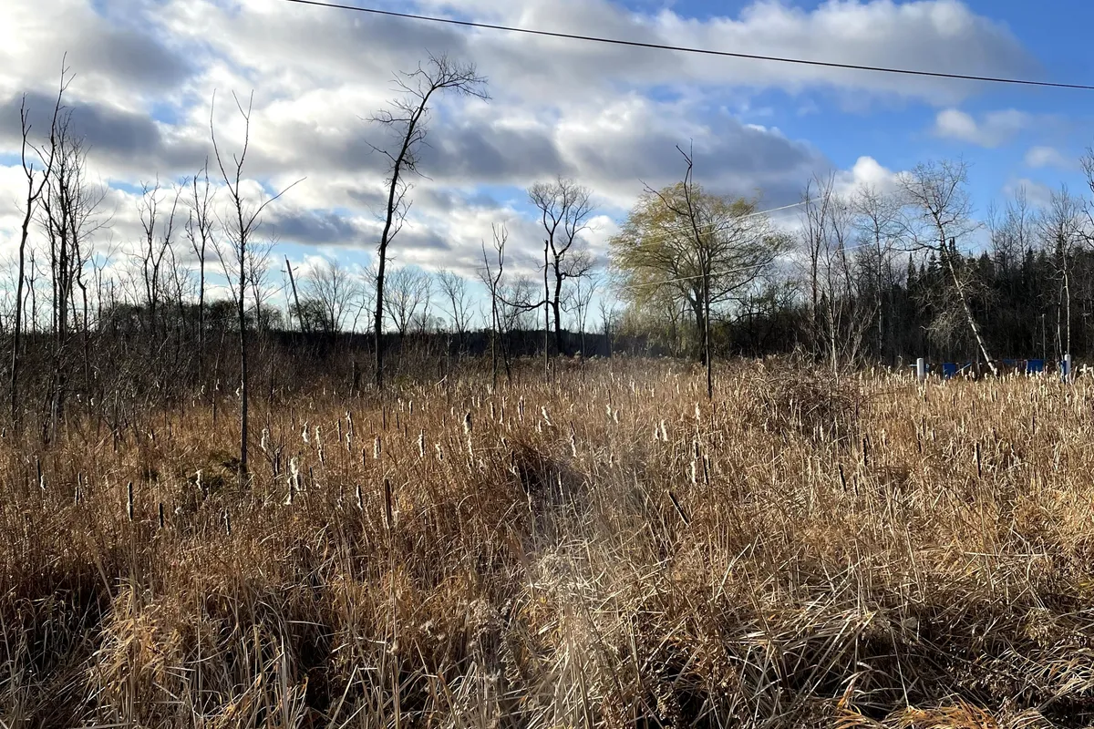 PTLT 35 Concession 2 Side Road, ON L0L 0L0