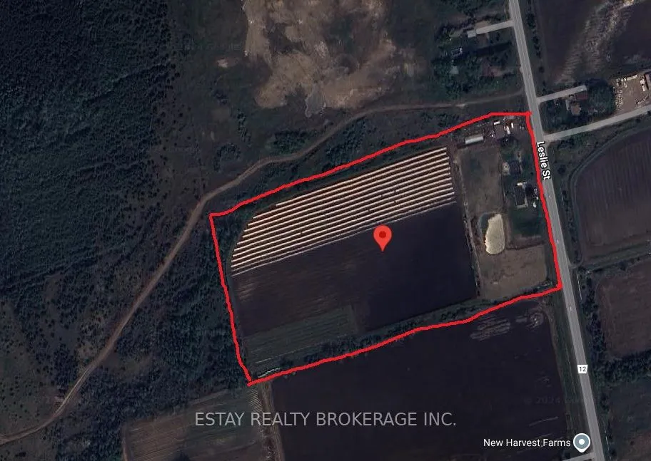 22478 Leslie St, East Gwillimbury, ON L0G 1R0