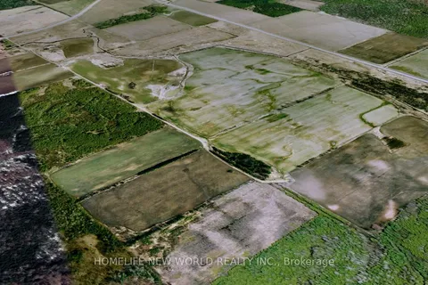 24960 Lake Ridge Road, Georgina, ON L0E 1N0