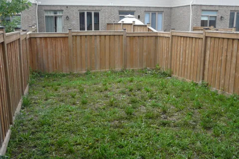 66 Clifford Crescent, ON L0G 1W0