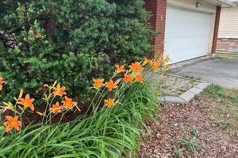 5 Chant Crescent, ON L3R 1Y7