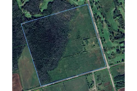 PT16 Concession 17 Side Road, ON L0K 1A0