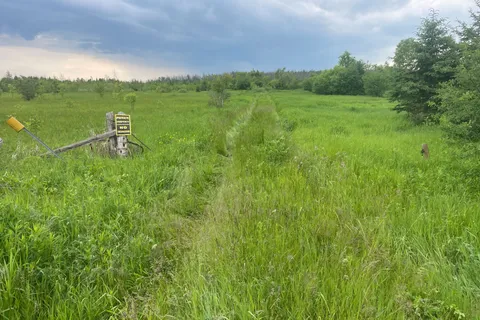 PT16 Concession 17 Side Road, ON L0K 1A0