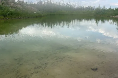 PT16 Concession 17 Side Road, ON L0K 1A0