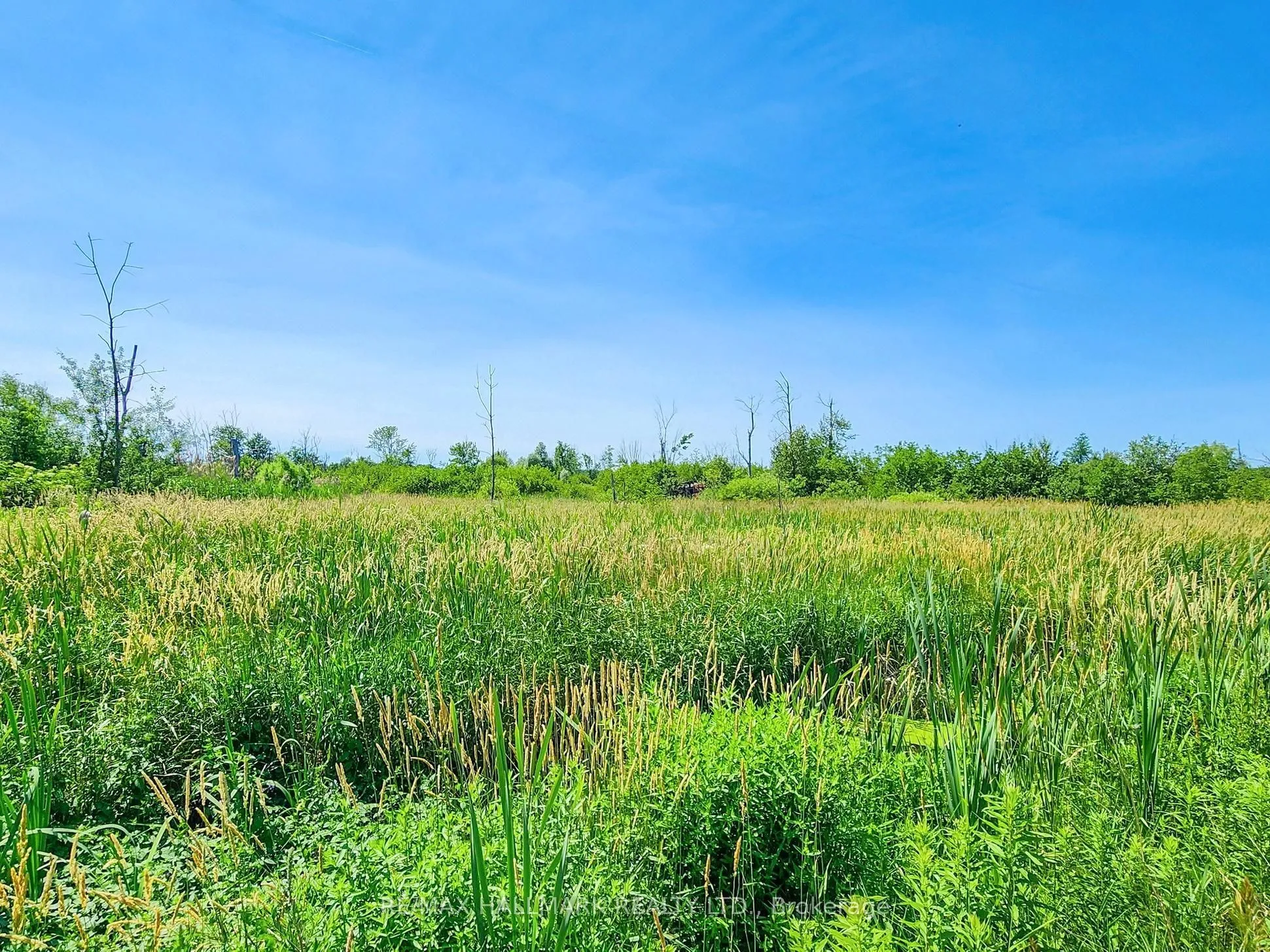 20200 Highway 48 N/A, ON L0G 1M0