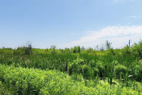 20200 Highway 48 N/A, ON L0G 1M0