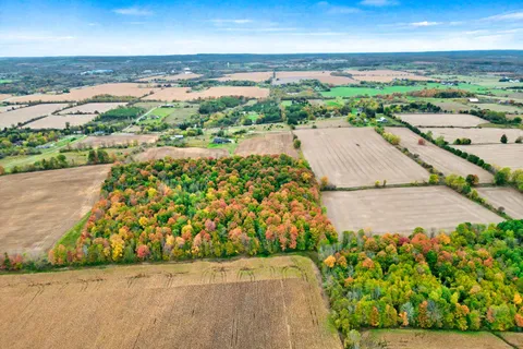 6910 & 6924 7th Line, ON L0G 1A0