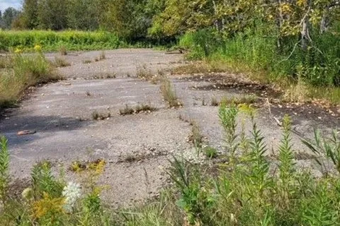 6330 County Rd. 15 N/A, ON L0M 1J0