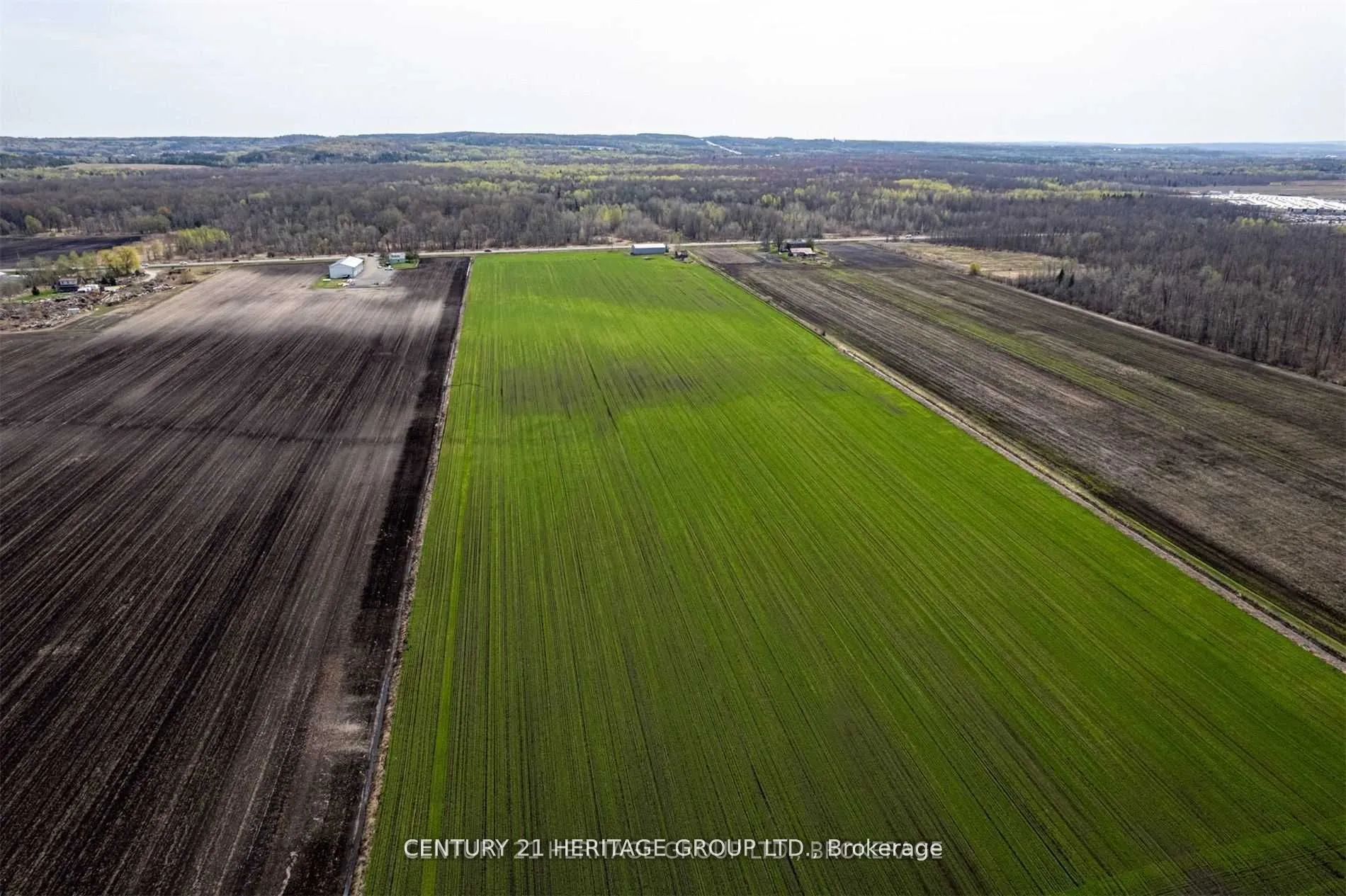 0 County Road 89 Road, ON L0L 1L0