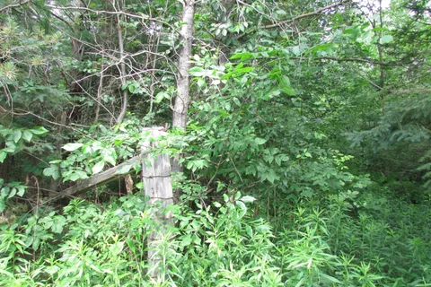 19633 48 Highway, ON L0G 1M0