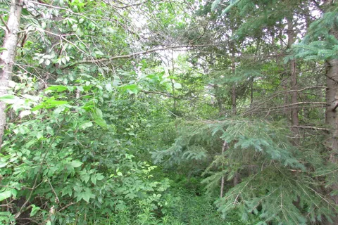 19633 48 Highway, ON L0G 1M0