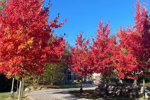 26 Pelosi Way, ON L0G 1M0