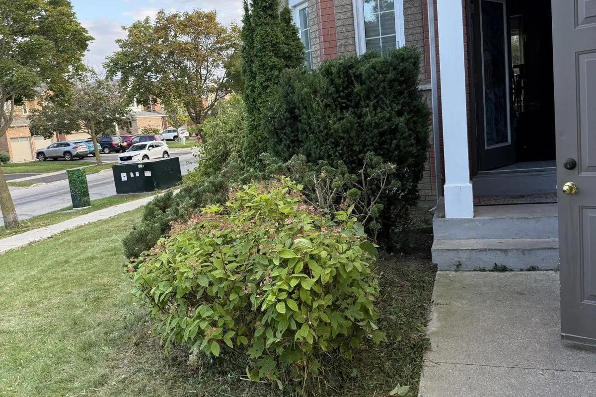 334 Clearmeadow Boulevard, ON L3X 2C6