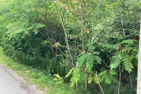 0 Pinecrest Road, ON L0E 1N0