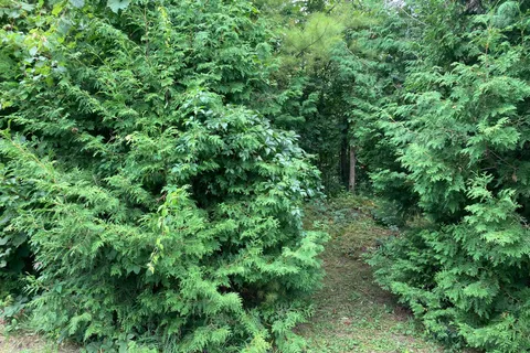 0 Pinecrest Road, ON L0E 1N0