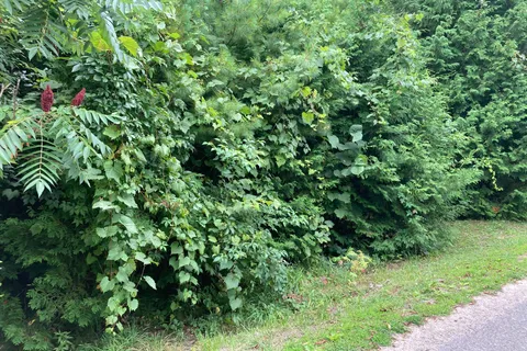 0 Pinecrest Road, ON L0E 1N0